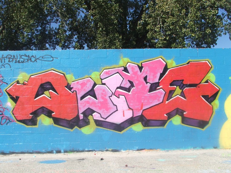 DSCF5114-800x600